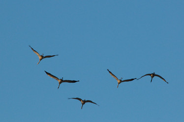 Similar image 401863