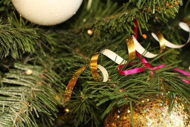 Similar image 401879