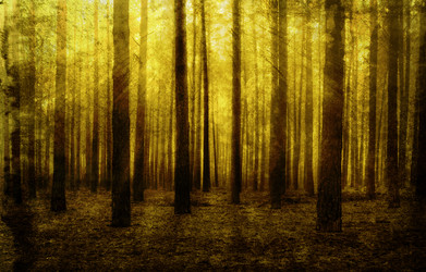 Similar image 401881