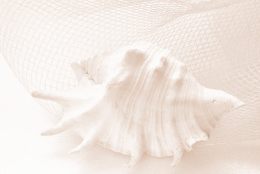 Similar image 401887