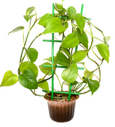 Similar image 401972