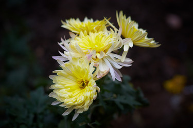 Similar image 402131