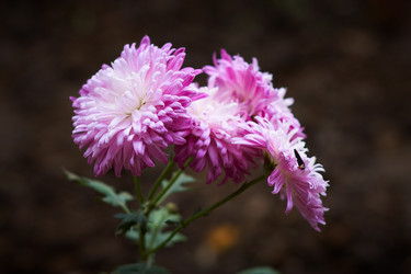 Similar image 402135