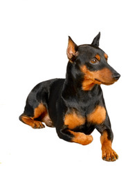 Similar image 402161