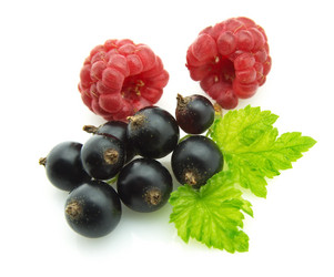 Similar image 402163