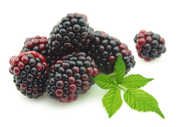 Similar image 402166