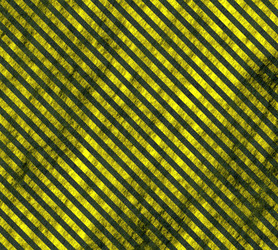 Similar image 402248