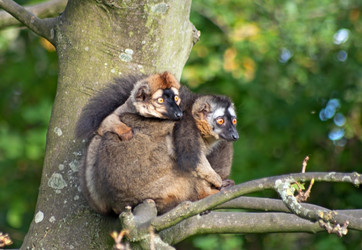 Similar image 402251