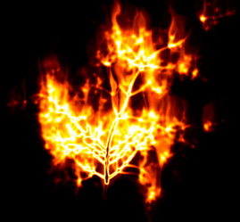 Similar image 402272