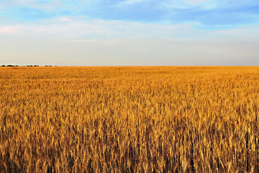 Similar image 402277