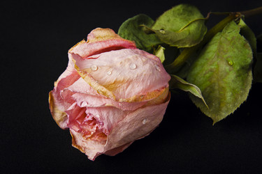 Similar image 402311