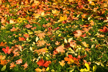 Similar image 402313