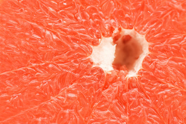 Similar image 402345