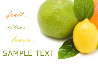 Similar image 402346