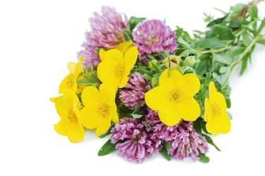 Similar image 402353