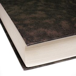 Similar image 402354