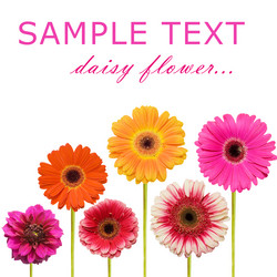 Similar image 402385