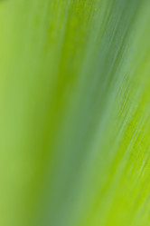 Similar image 402449