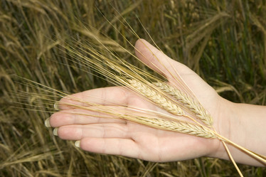 Similar image 402493