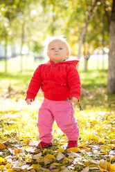 Similar image 402504