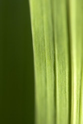 Similar image 402516