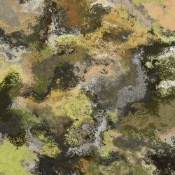 Similar image 402549