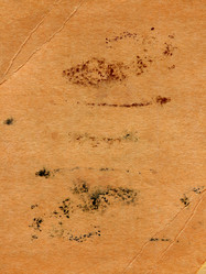 Similar image 402606