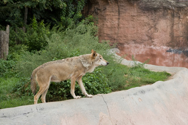 Similar image 402651