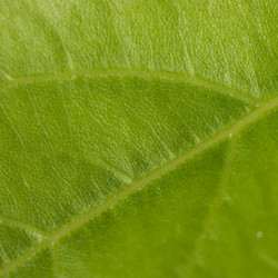 Similar image 402671