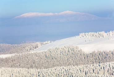 Similar image 402702