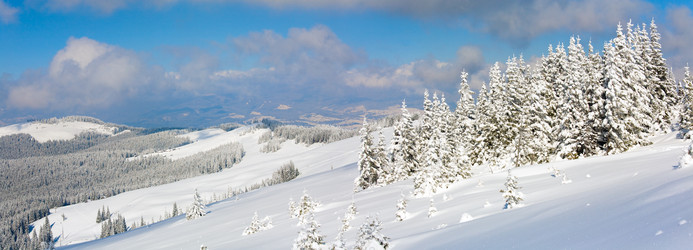 Similar image 402709