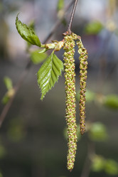 Similar image 402760