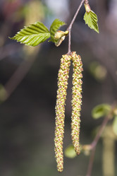 Similar image 402762