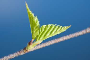 Similar image 402763