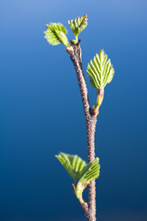 Similar image 402765