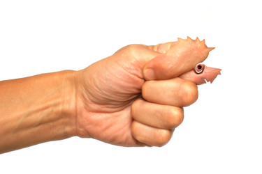 Similar image 402813