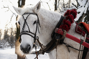 Similar image 402888