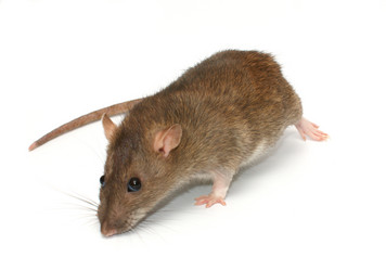 Similar image 402891