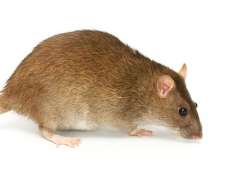 Similar image 402892