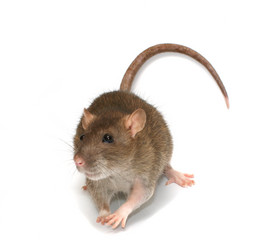 Similar image 402894