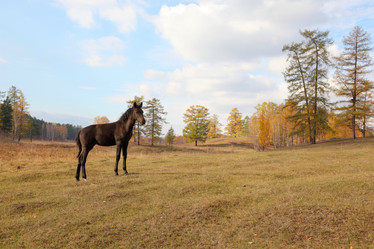 Similar image 402911