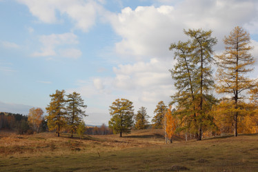 Similar image 402912