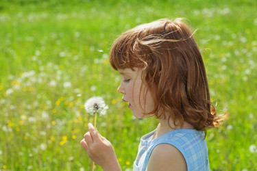 Similar image 402913