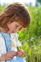 Similar image 402919