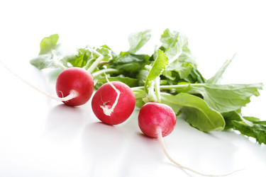 Similar image 402921