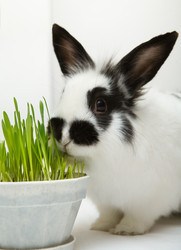 Similar image 402925