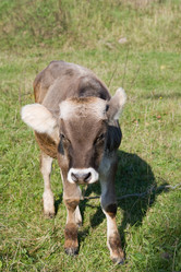 Similar image 402929