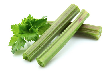 Similar image 402939