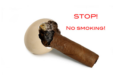 Similar image 402941