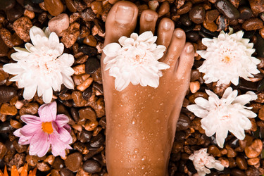 Similar image 402942